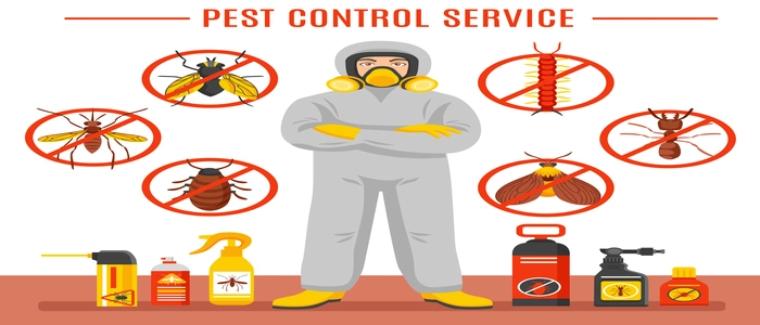 Best Pest Control & Removal Tips @ Control My Pest